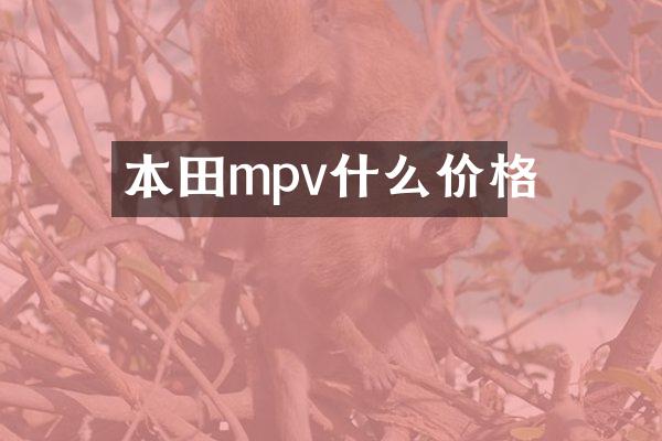 本田mpv什么价格