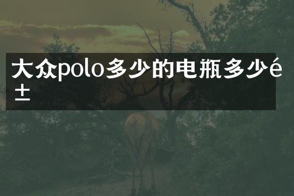 大众polo多少的电瓶多少钱