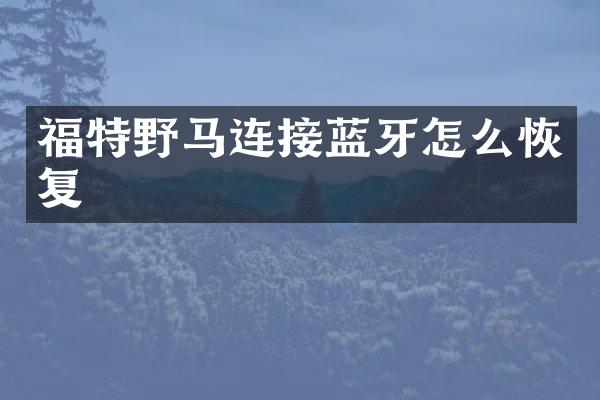 福特野马连接蓝牙怎么恢复