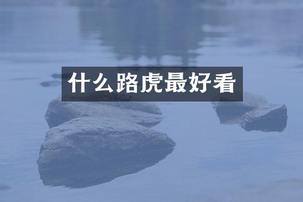 什么路虎最好看