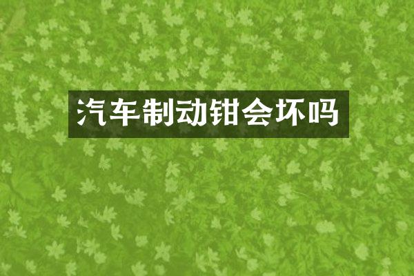 汽车制动钳会坏吗