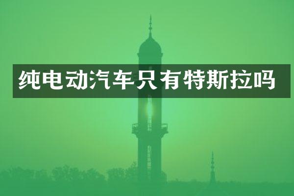 纯电动汽车只有特斯拉吗