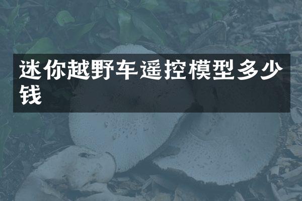 迷你越野车遥控模型多少钱