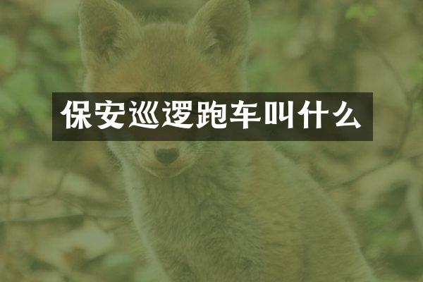保安巡逻跑车叫什么