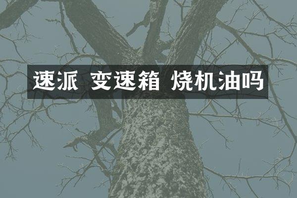 速派 变速箱 烧机油吗