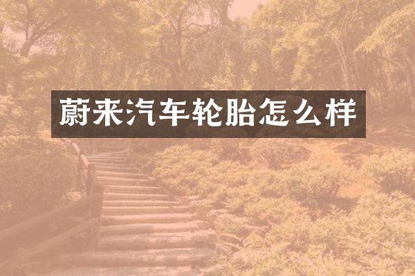 蔚来汽车轮胎怎么样