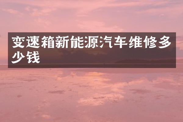 变速箱新能源汽车维修多少钱