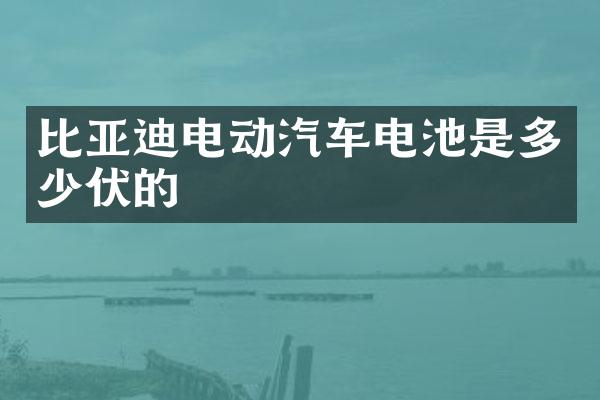 比亚迪电动汽车电池是多少伏的