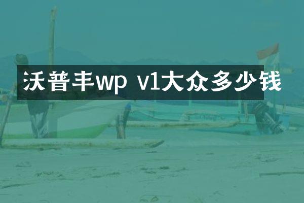 沃普丰wp v1大众多少钱