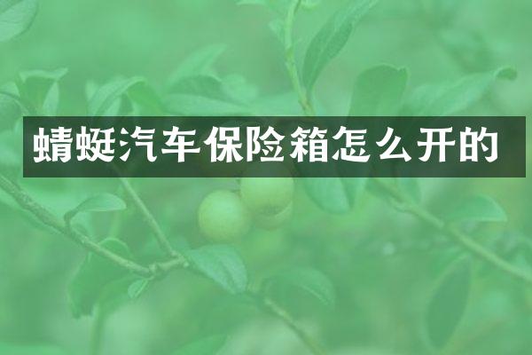 蜻蜓汽车保险箱怎么开的