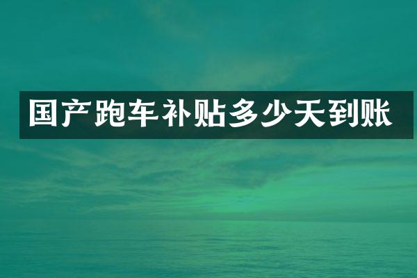 国产跑车补贴多少天到账