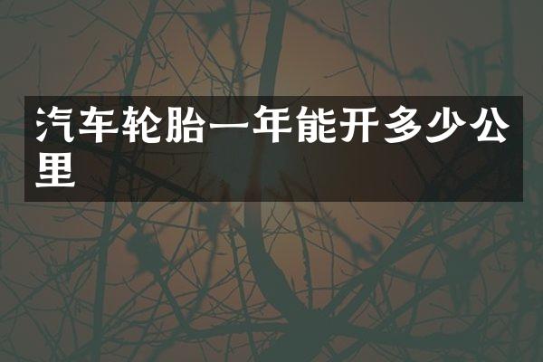 汽车轮胎一年能开多少公里