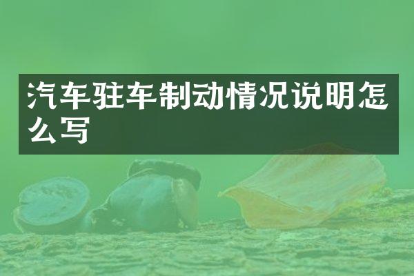 汽车驻车制动情况说明怎么写