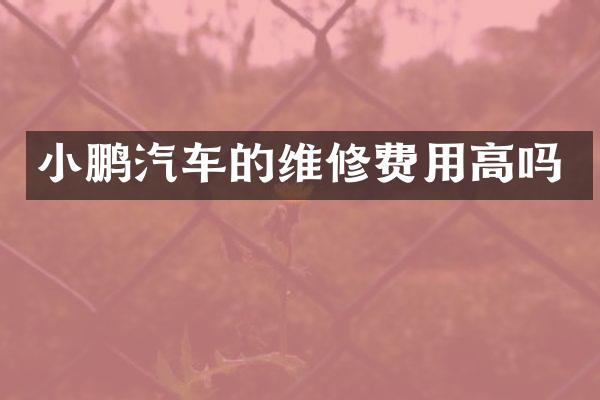 小鹏汽车的维修费用高吗