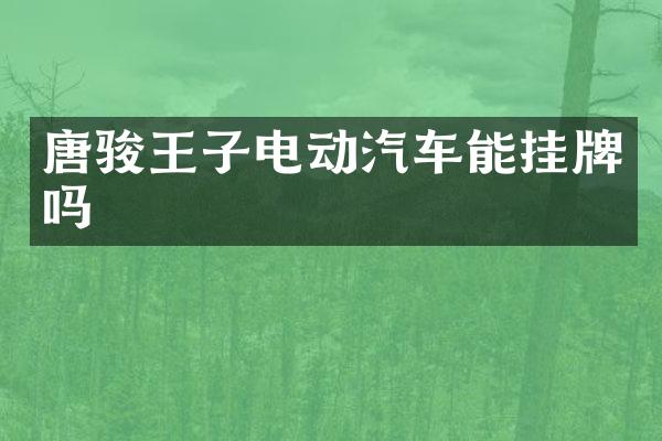 唐骏王子电动汽车能挂牌吗