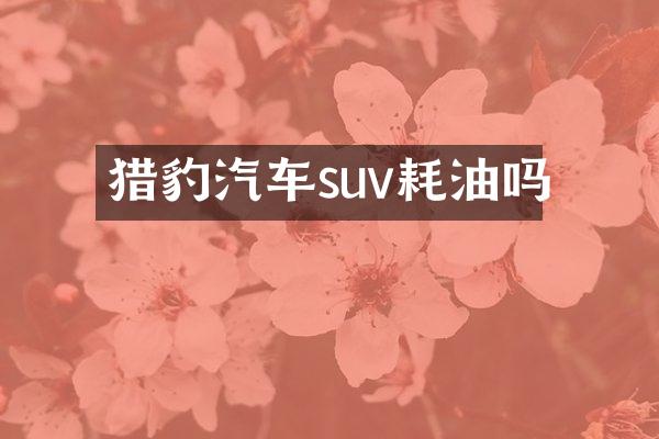 猎豹汽车suv耗油吗