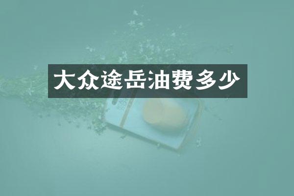 大众途岳油费多少
