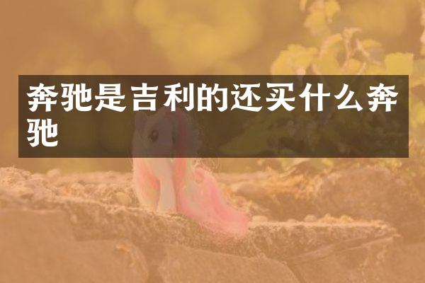 奔驰是吉利的还奔驰