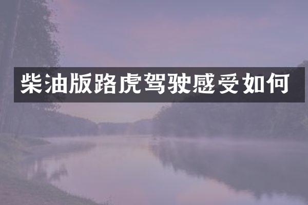 柴油版路虎驾驶感受如何