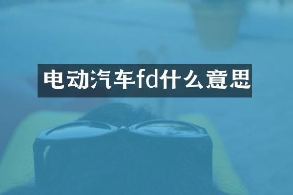 电动汽车fd什么意思