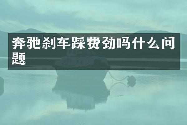 奔驰刹车踩费劲吗什么问题