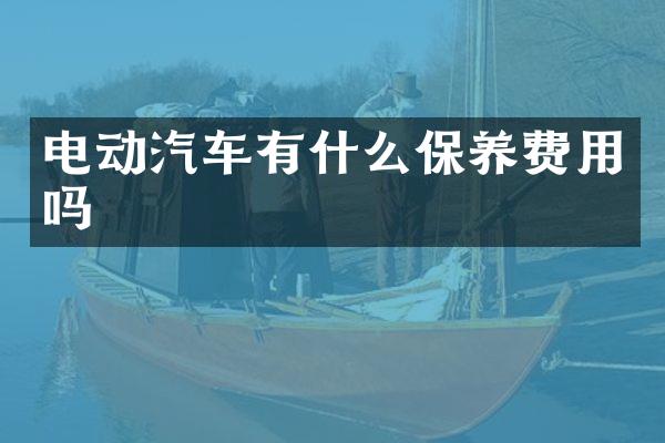 电动汽车有什么保养费用吗