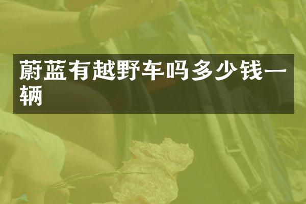 蔚蓝有越野车吗多少钱一辆