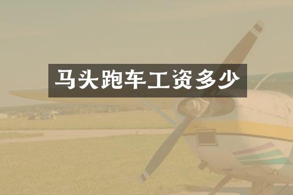 马头跑车工资多少