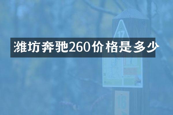 潍坊奔驰260价格是多少