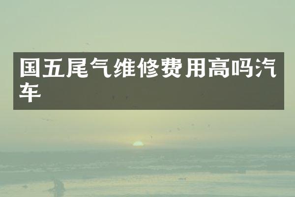 国五尾气维修费用高吗汽车