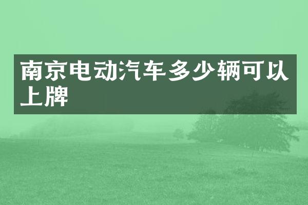 南京电动汽车多少辆可以上牌
