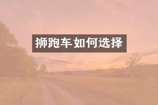 狮跑车如何选择