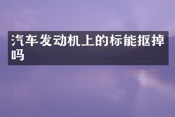 汽车发动机上的标能抠掉吗
