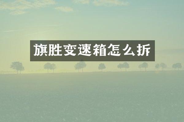 旗胜变速箱怎么拆