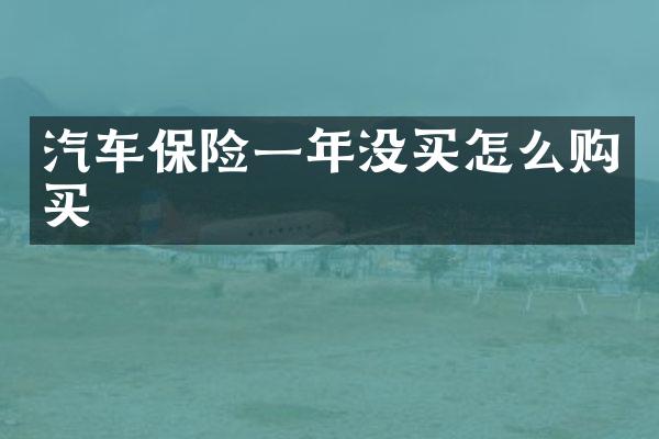 汽车保险一年没买怎么购买