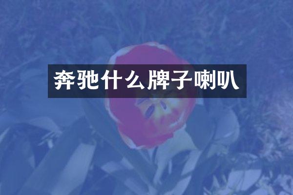 奔驰什么牌子喇叭