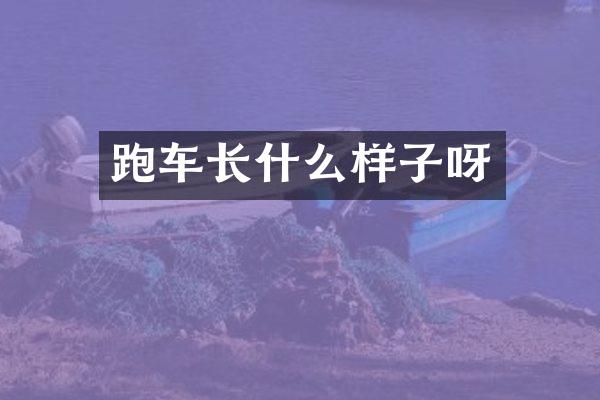 跑车长什么样子呀
