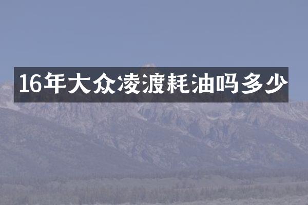 16年大众凌渡耗油吗多少