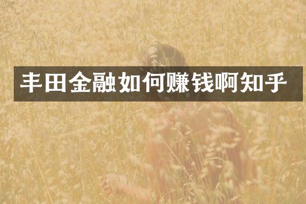 丰田金融如何赚钱啊知乎
