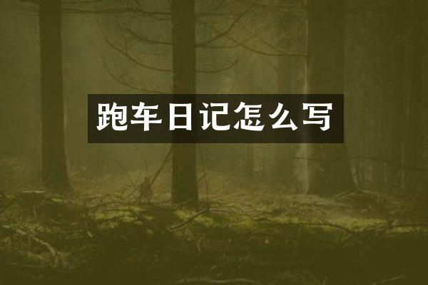 跑车日记怎么写