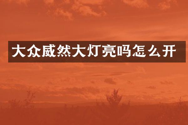 大众威然大灯亮吗怎么开