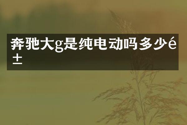 奔驰大g是纯电动吗多少钱