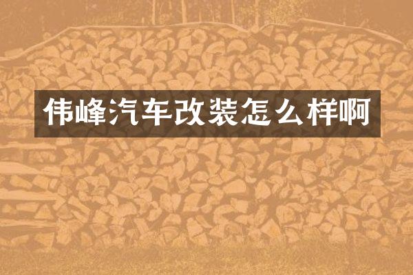 伟峰汽车改装怎么样啊
