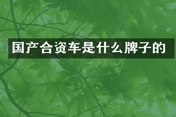 国产合资车是什么牌子的
