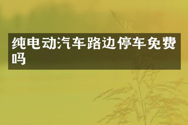 纯电动汽车路边停车免费吗