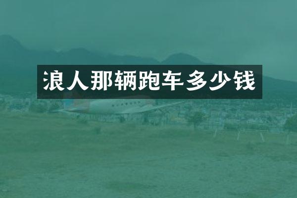 浪人那辆跑车多少钱