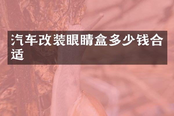 汽车改装眼睛盒多少钱合适