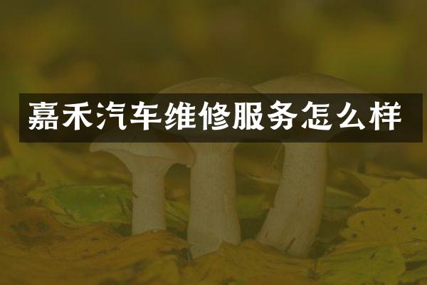 嘉禾汽车维修服务怎么样