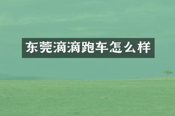 东莞滴滴跑车怎么样