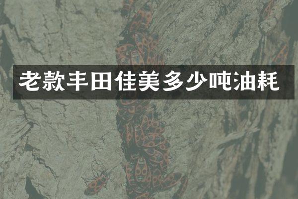 老款丰田佳美多少吨油耗